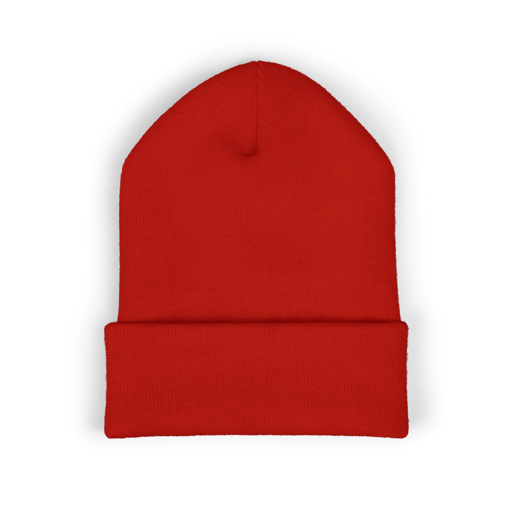 Cold Weather Hat, Trendy Embroidered Beanie, Hipster Accessories, Gift for Him/Her, Casual Style Headwear